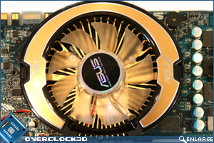 Glaciator cooler