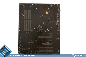 Board_Back