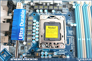 socket area